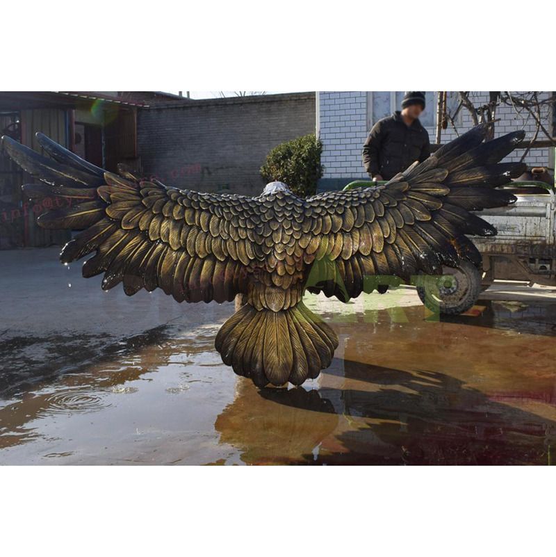 An eagle whose wings have been drenched by rain