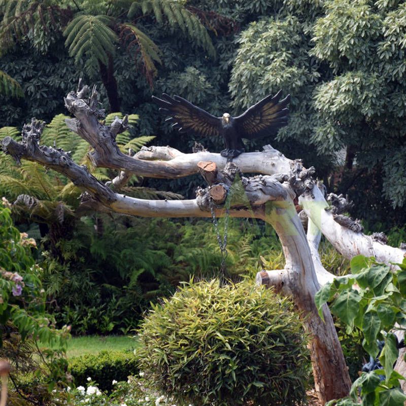 Life Size Antique Cast Bronze Eagle Sculpture