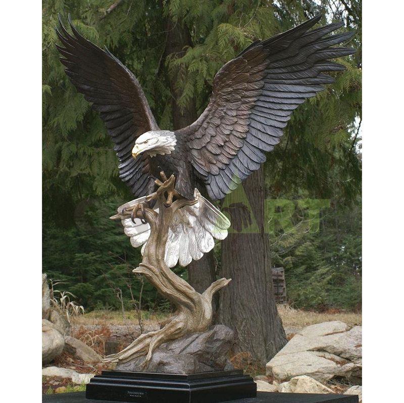 Looking at the eagle standing in the distance, can be customized