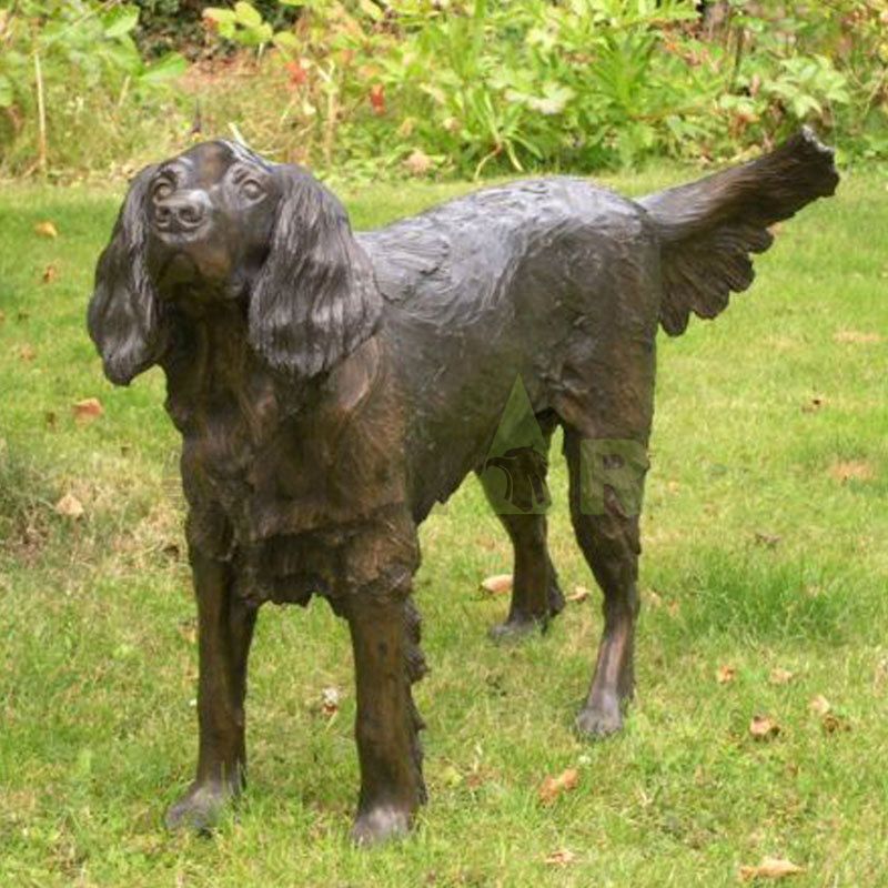 The cocker spaniel in a bowler hat looks excitedly at his owner not far away