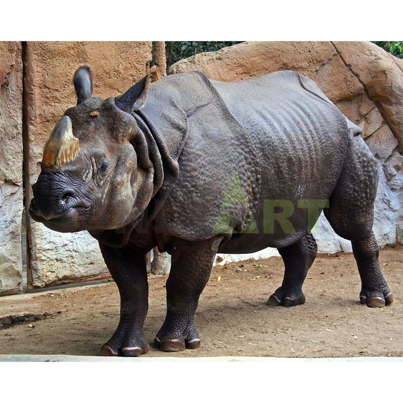 A rhinoceros buried in the sand