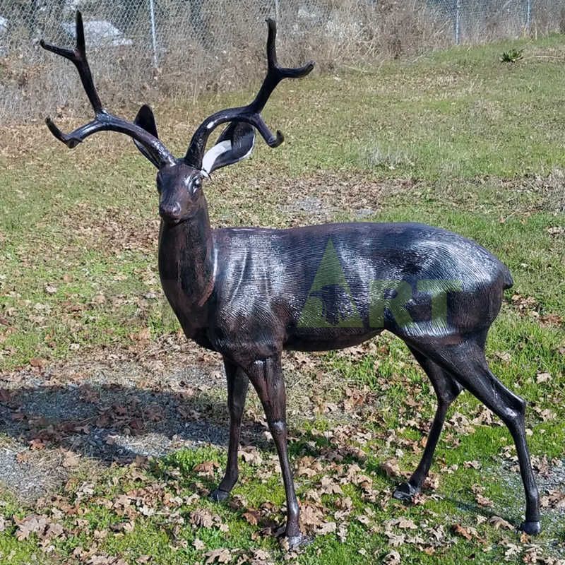 Deer(20).jpg